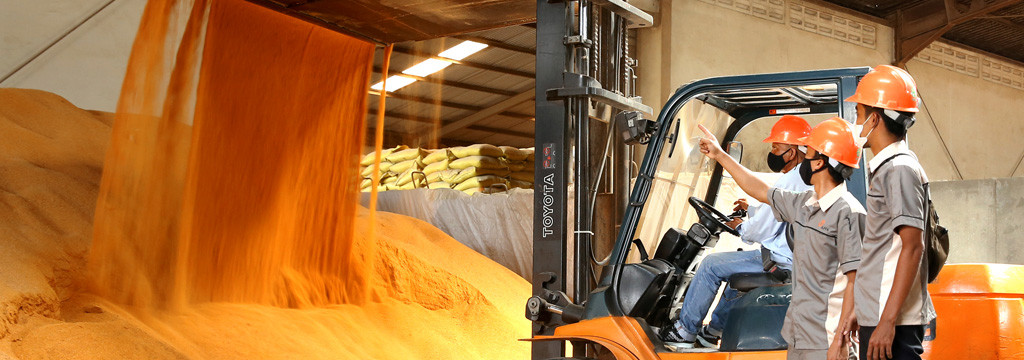 Industrial Feed